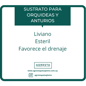 Sustrato para orquideas/Anturios/Helechos