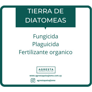 Tierra de diatomeas