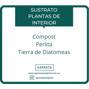 Sustrato para Plantas de Interior