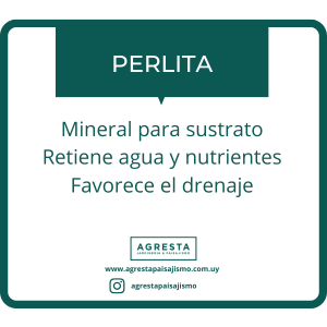Perlita