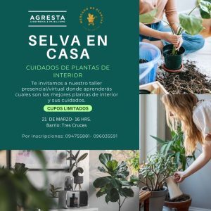 Masterclass PLANTAS DE INTERIOR- SELVA EN CASA
